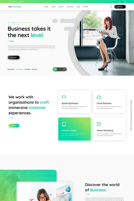 phlox-wordpress-theme-business2