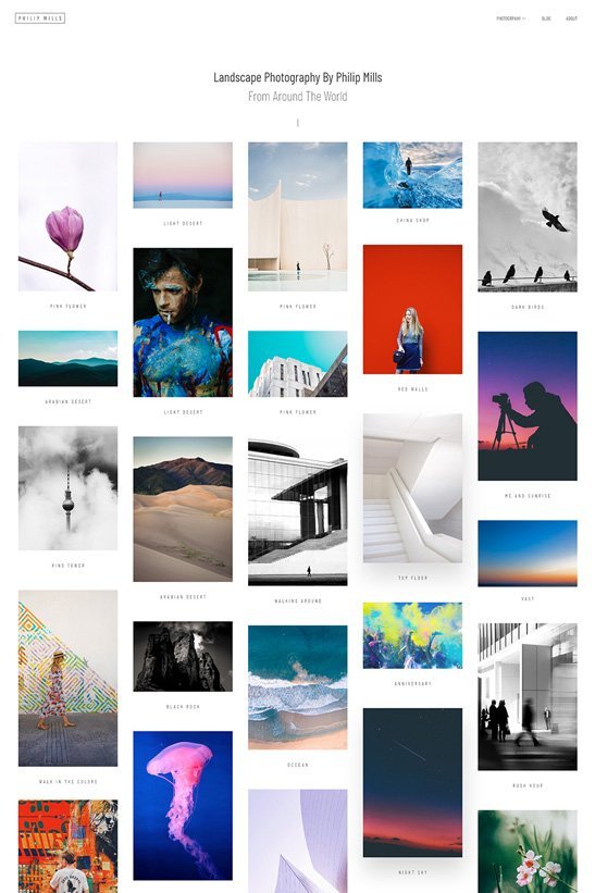 phlox wordpress theme photography