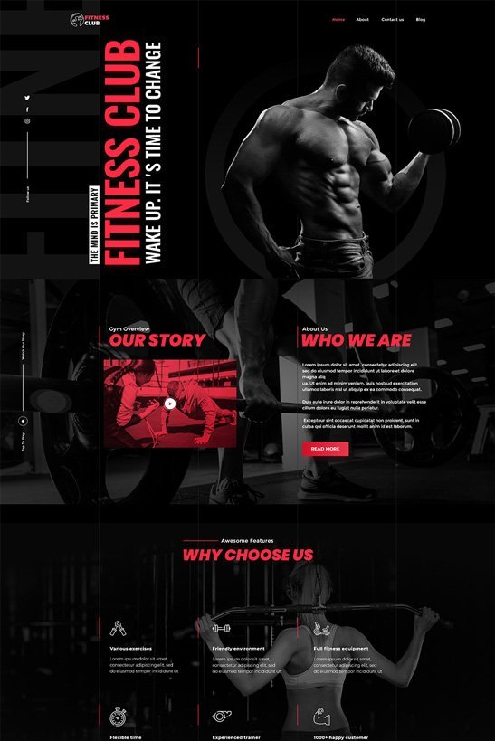 phlox-wordpress-theme-sports-gym